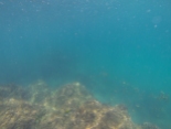 Snorkeling near Cabuya