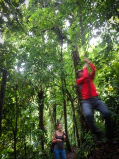 Tarzan swing :)