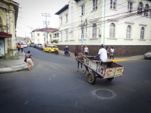 Wow saw a lot of horses as part of the normal traffic on the street
